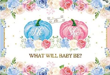 Gender Reveal Backdrop