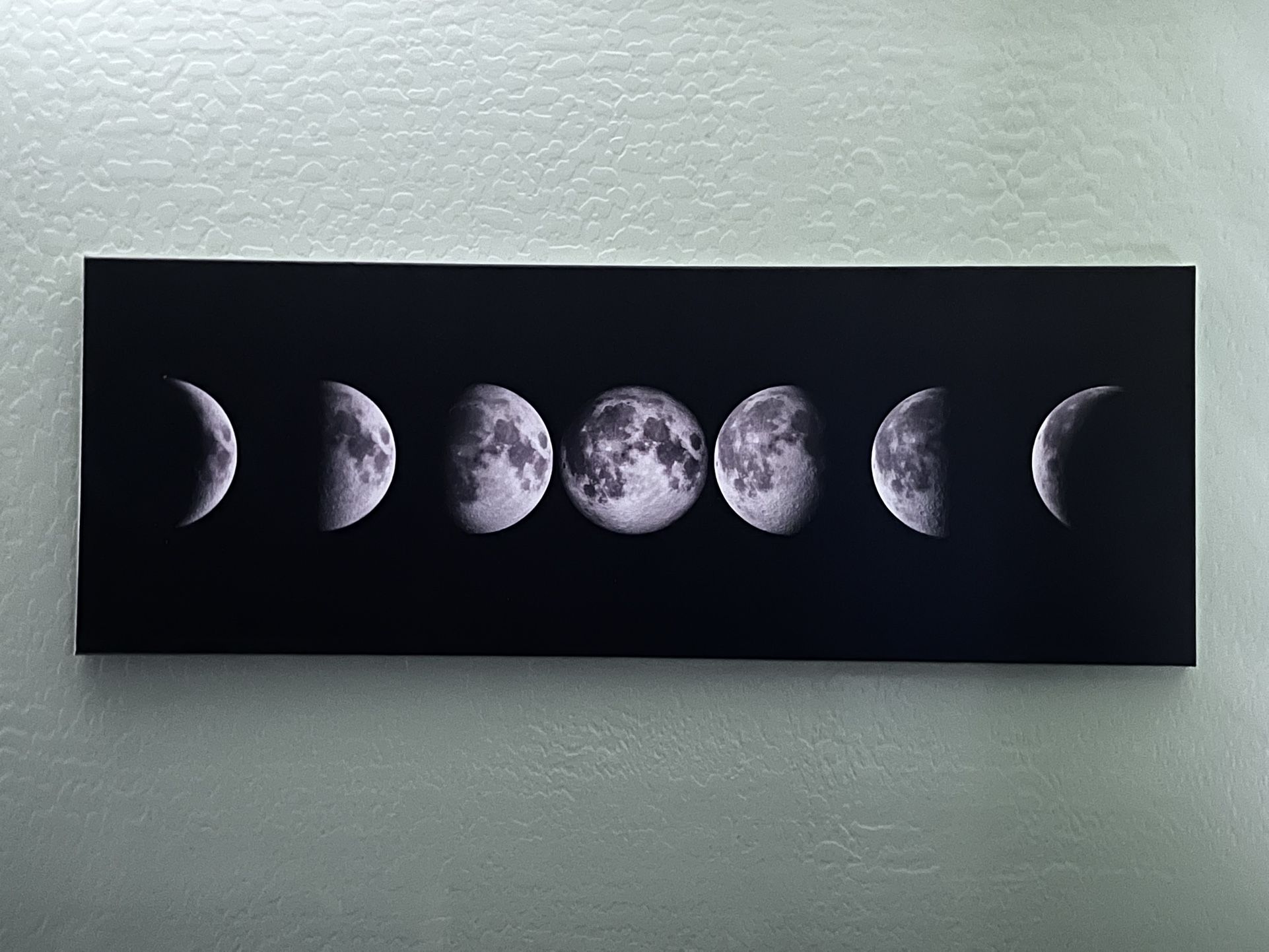 Phases Of The Moon Wall Art Canvas