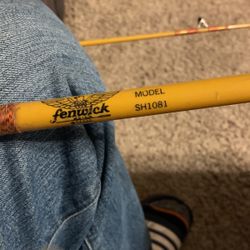 Fenwick Steelhead Blank 