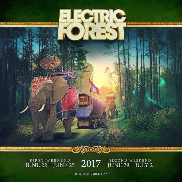 Electric Forest neighbor wristbands