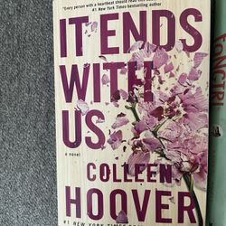 It Ends With Us Novel