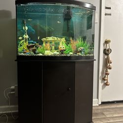 40 Gal Fish Tank With Stand 