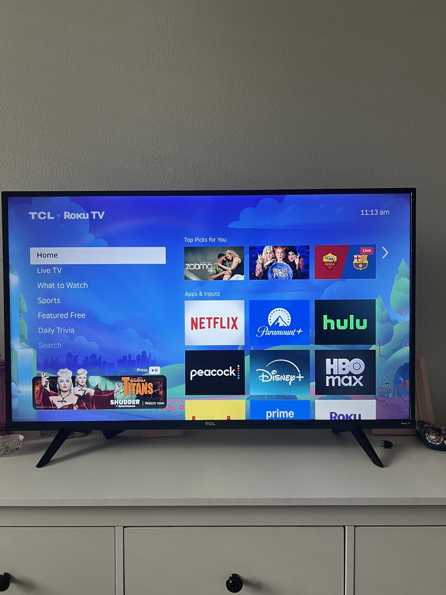 TCL Roku Smart TV (43 inch)