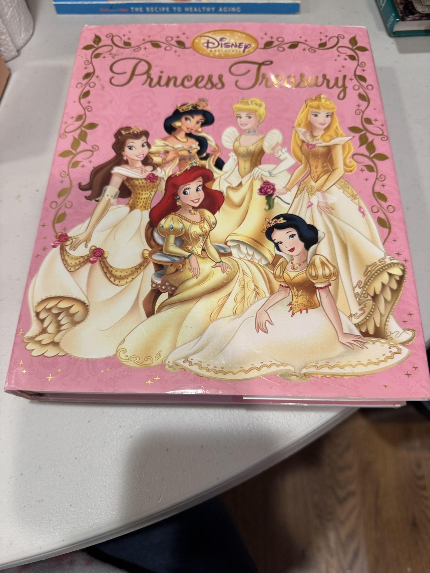 DISNEY PRINCESS TREASURY By Disney Book Group - Hardcover *Excellent Condition*