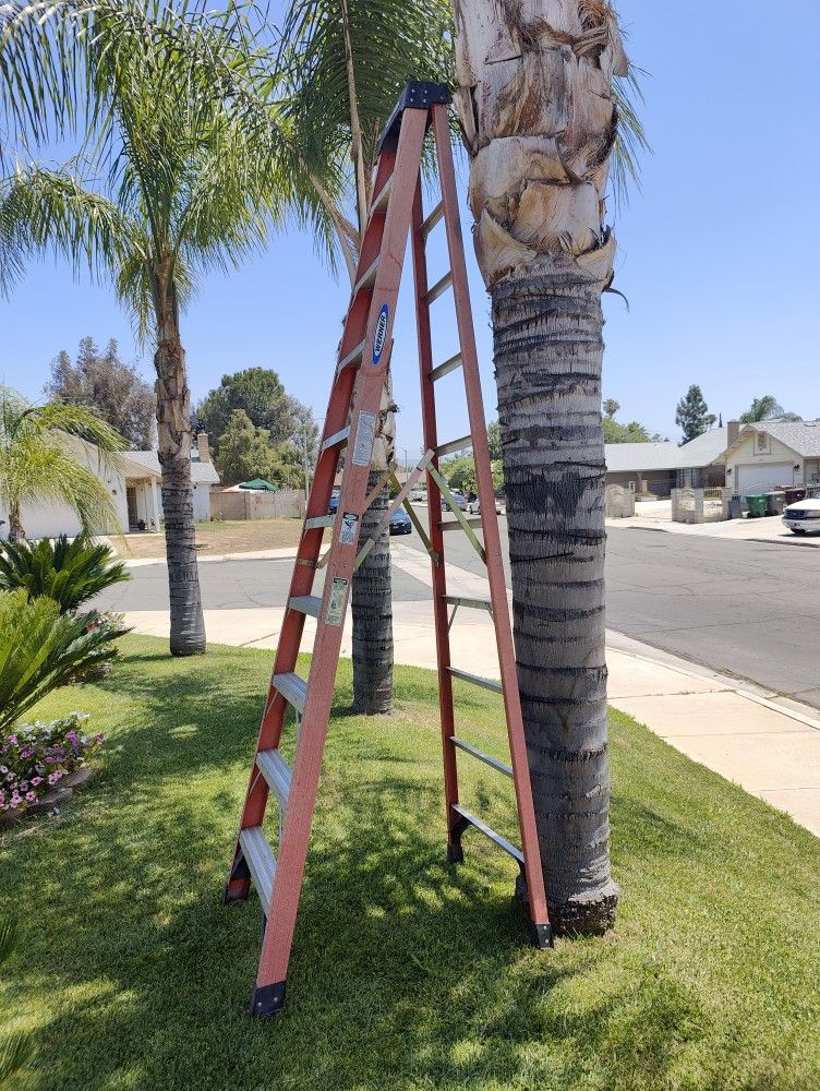 Ladder 10ft Werner