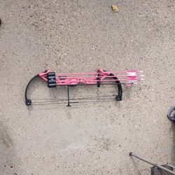 Bear Archery (Pink)
