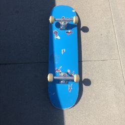 Skate Board 