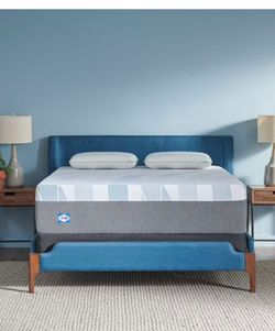 Sealy Dreamlife 14" Soft Hybrid Mattress Twin Size