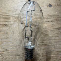 Light Bulbs 