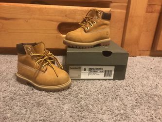 Wheat Timberlands size 6