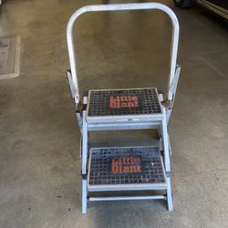 Little Giant Safety Ladder