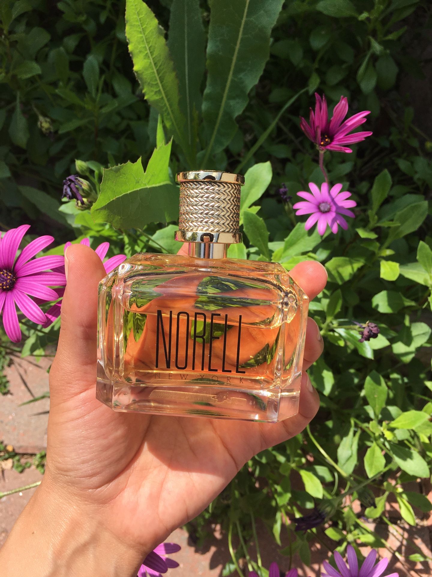 Norell Elixir Norell Perfume At Macy's Just Call Me Perfume