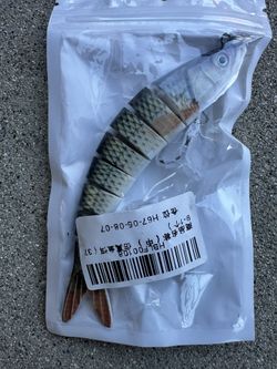 Fishing Bait Large