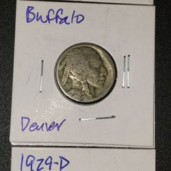 Buffalo Nickles! 3 Total! 1925, 1929-D, Buffalo-D