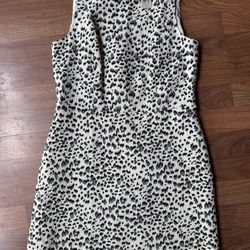 Ann Taylor LOFT Snow Leopard White Cream Black Sleeveless Dress Size 12P 12 Pet