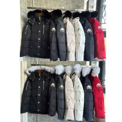 Moose knuckles jacket