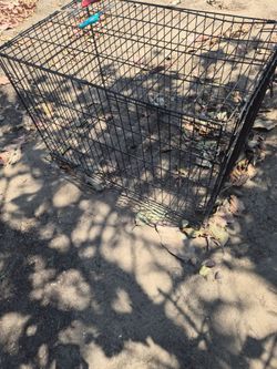 Dog cage