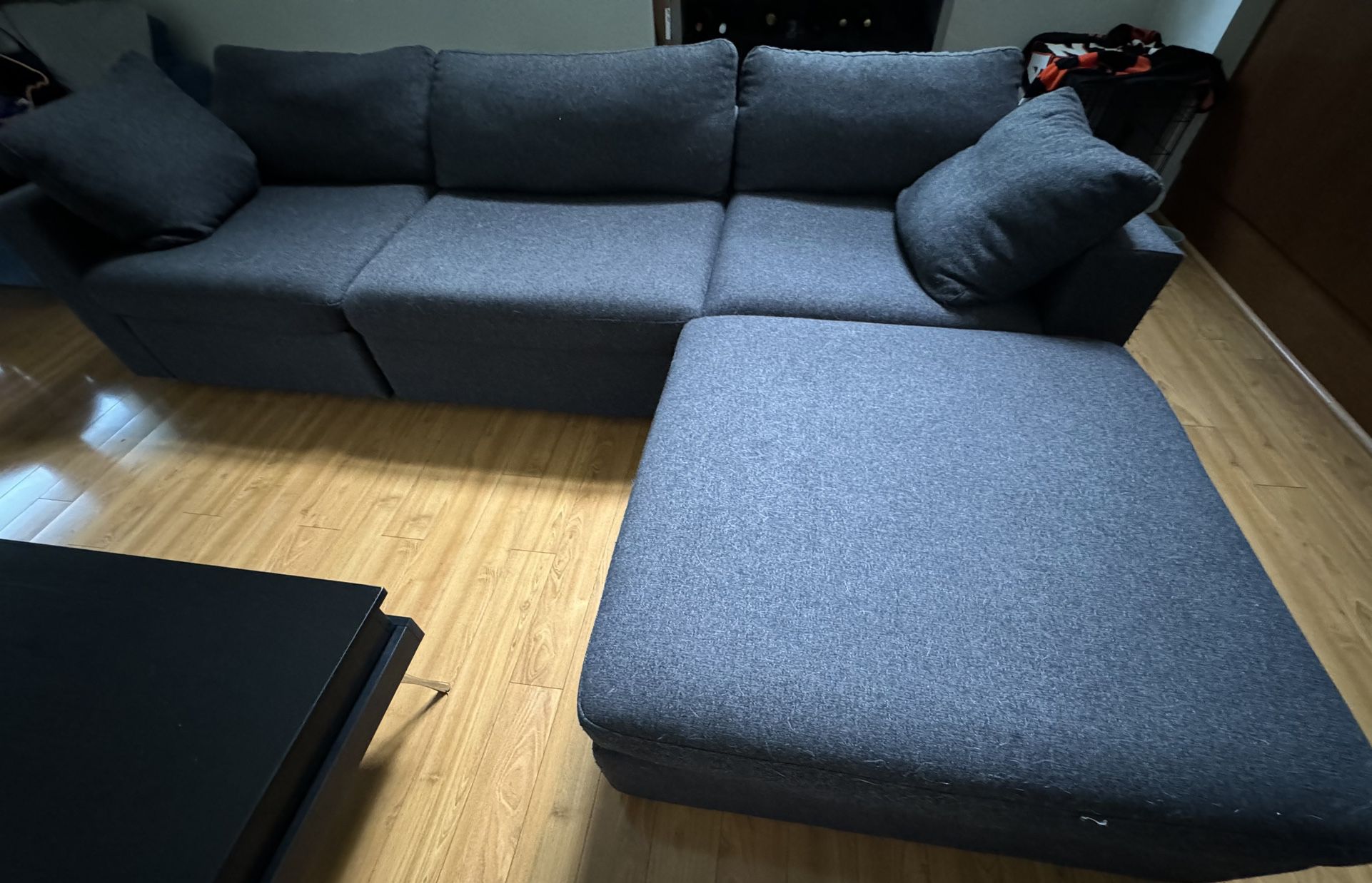 Selling Couch With Pillows