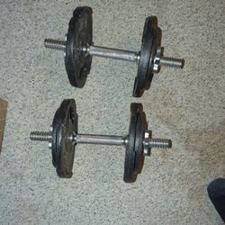 Dumbbell Set