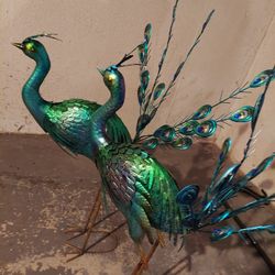 2 Garden Birds
