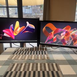 Double Asus 21.5” Widescreen Full HD Computer Monitor Set