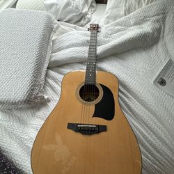 Lyon Beginner Guitar 