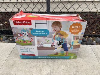 FisherPrice Bounce And Spin Puppy 