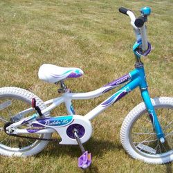 Very Nice 16" Girls Bike Giant Puddin' 