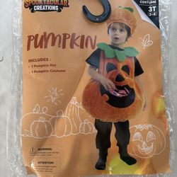 Pumpkin Costume 
