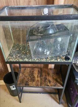 Reptile travel tank 3 heat lights and plants and 55 gallon top