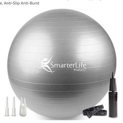 Exercise Ball With Pump 25.5”