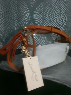 Purse slash handbag