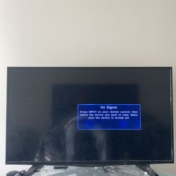 Insignia flat screen tv