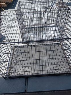 Large and medium kennels