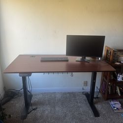 Electric Adjustable Standing Desk