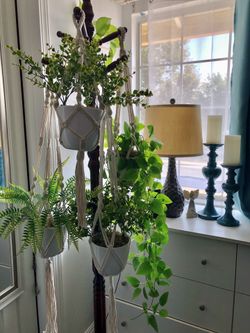 SET OF 4 Artificial Plants in NEW Pot in NEW Beautiful Macrame Hanger Fake Plants PRICE FIRM