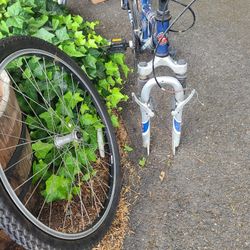 Womens Schwinn Bike