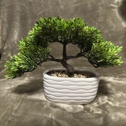 decorative bonsai tree
