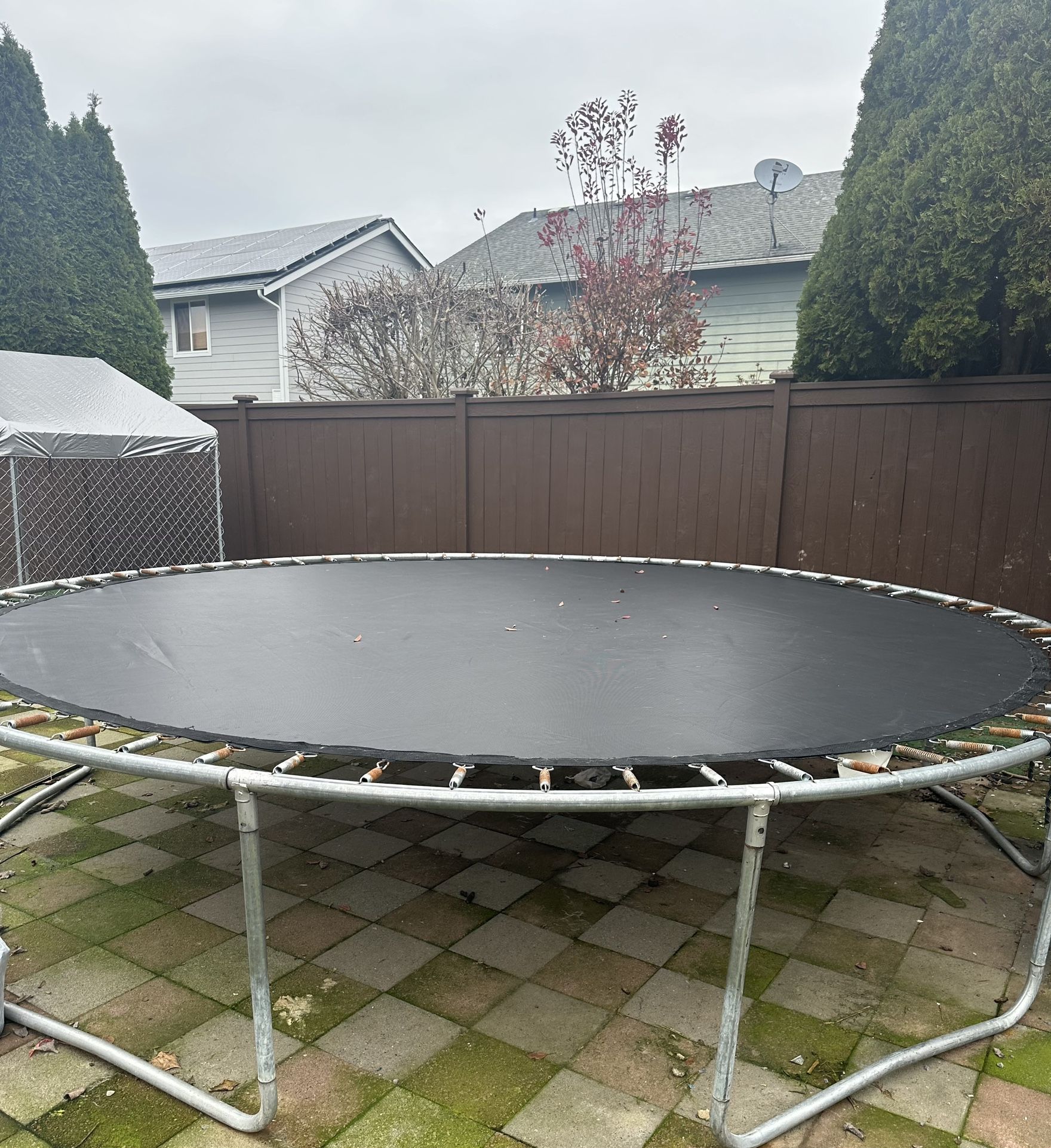 Trampoline