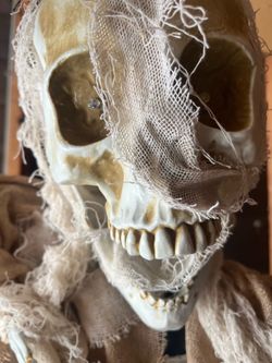 Haunted Hill Farm Danger McRibsey Animatronic Skeleton Mummy Greeter – Works!