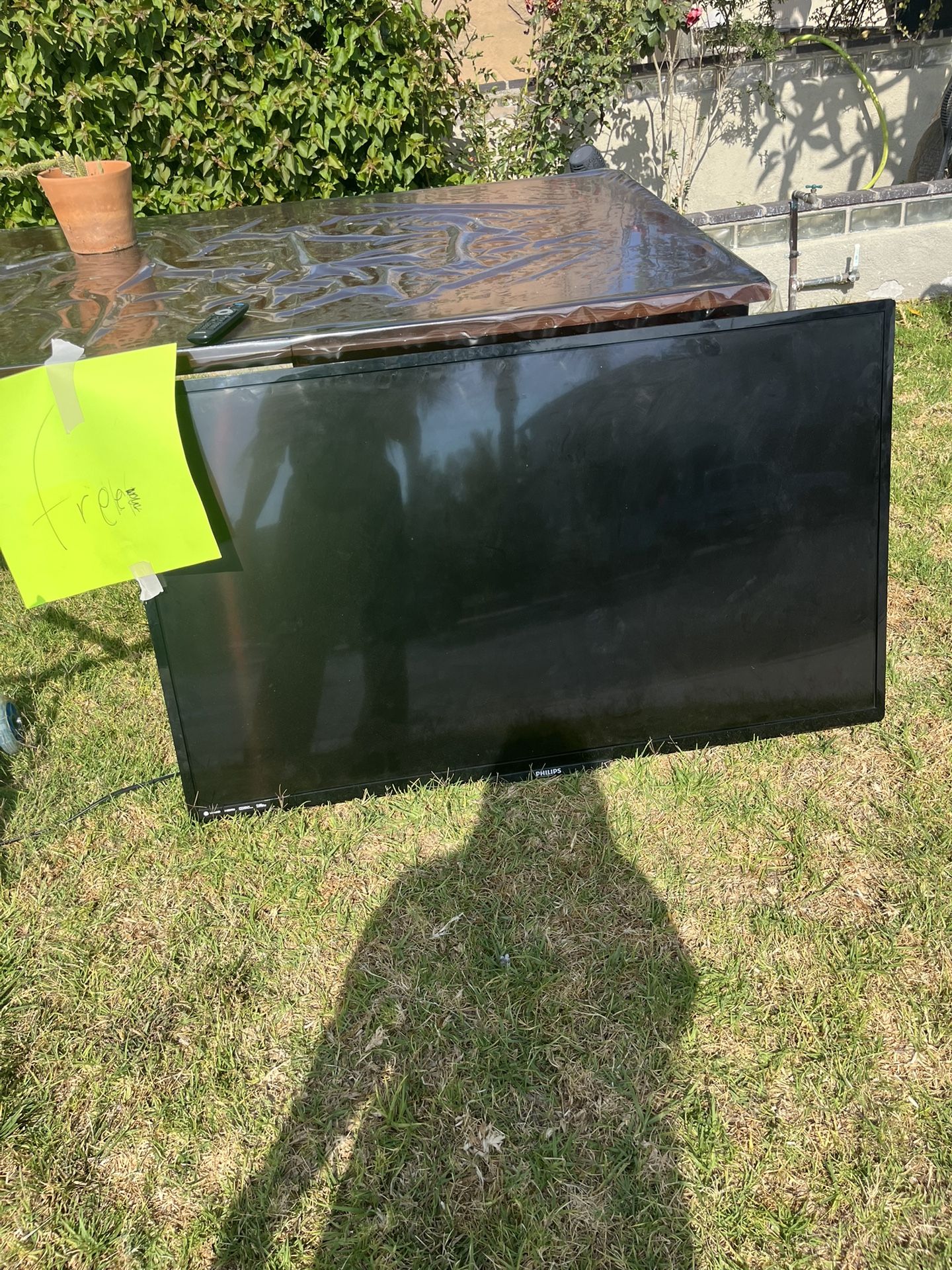 TV