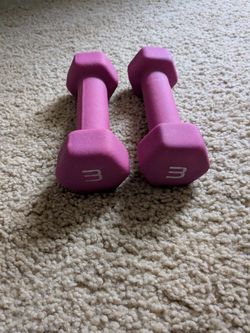 3 lb dumbbell pair