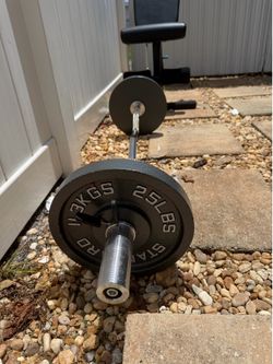 Standard Barbell with 25 lb Weight Plates