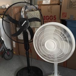 Stand Fan 