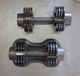 Dumbbells (both)