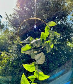 Macrame Gold Metal Hoop Sun Catcher Plant Hanger