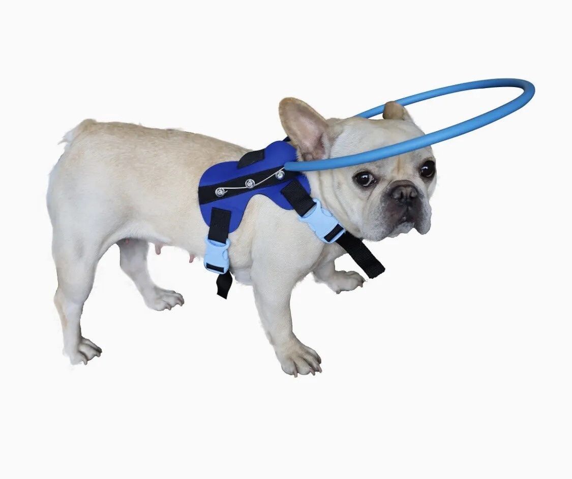 Heavy Duty Dog Collar