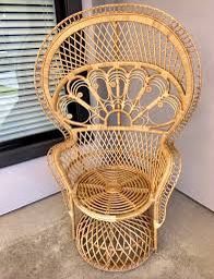 Peacock Chair 
