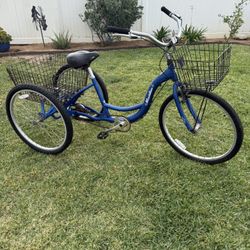Schwinn Meridian Adult Tricycle Bike