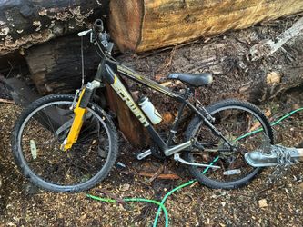 Schwinn bike